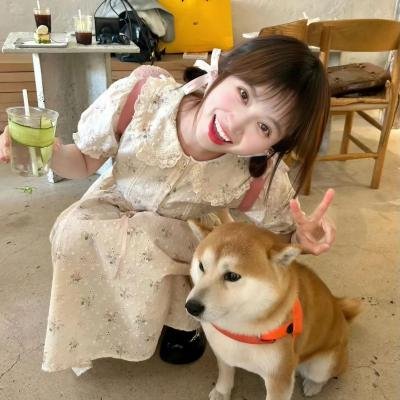 完美伴侣2025