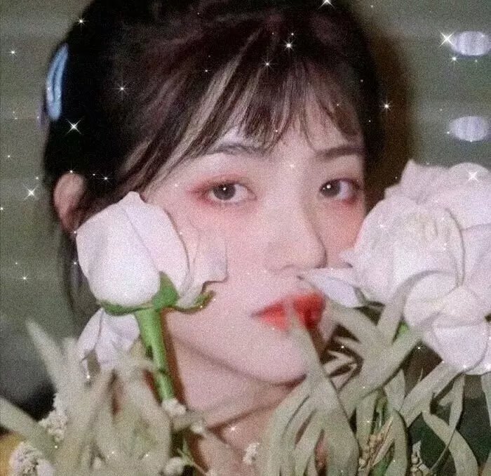 所有明亮的地方